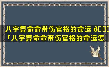 八字算命命带伤官格的命运 🐕 「八字算命命带伤官格的命运怎 🍁 么样」